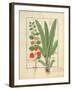 Ms Fr. Fv VI #1 Fol.161R Physalis-Robinet Testard-Framed Giclee Print