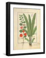 Ms Fr. Fv VI #1 Fol.161R Physalis-Robinet Testard-Framed Giclee Print