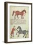 Ms Grec 2244 Fol.4 Operating on a Horse-Greek School-Framed Giclee Print