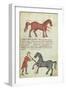 Ms Grec 2244 Fol.4 Operating on a Horse-Greek School-Framed Giclee Print