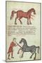 Ms Grec 2244 Fol.4 Operating on a Horse-Greek School-Mounted Giclee Print