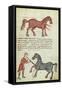 Ms Grec 2244 Fol.4 Operating on a Horse-Greek School-Framed Stretched Canvas