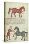 Ms Grec 2244 Fol.4 Operating on a Horse-Greek School-Stretched Canvas