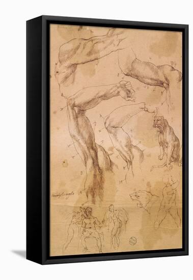 Ms H 184 Fol.202 Studies of Raised Arms, a Wild Cat and a Group of Figures-Michelangelo Buonarroti-Framed Stretched Canvas