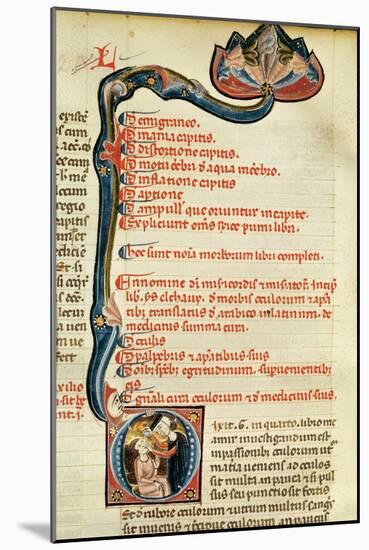 Ms.Lat.6912 Illuminations from Volume 2 of the 'Continens' of Rhazes Concerning Opthalmology and…-Giovanni da Monte Cassino-Mounted Giclee Print