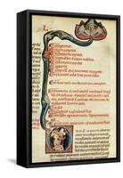 Ms.Lat.6912 Illuminations from Volume 2 of the 'Continens' of Rhazes Concerning Opthalmology and…-Giovanni da Monte Cassino-Framed Stretched Canvas