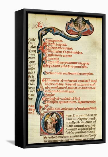 Ms.Lat.6912 Illuminations from Volume 2 of the 'Continens' of Rhazes Concerning Opthalmology and…-Giovanni da Monte Cassino-Framed Stretched Canvas