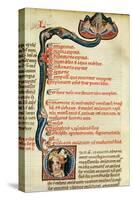 Ms.Lat.6912 Illuminations from Volume 2 of the 'Continens' of Rhazes Concerning Opthalmology and…-Giovanni da Monte Cassino-Stretched Canvas