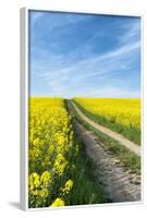 Mšnchberg, Bavaria, Germany, Rape Field in the Spring-Bernd Wittelsbach-Framed Photographic Print