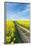 Mšnchberg, Bavaria, Germany, Rape Field in the Spring-Bernd Wittelsbach-Framed Photographic Print