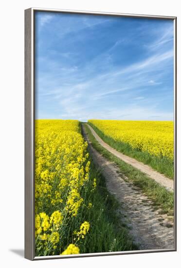 Mšnchberg, Bavaria, Germany, Rape Field in the Spring-Bernd Wittelsbach-Framed Photographic Print