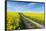 Mšnchberg, Bavaria, Germany, Rape Field in the Spring-Bernd Wittelsbach-Framed Photographic Print