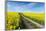 Mšnchberg, Bavaria, Germany, Rape Field in the Spring-Bernd Wittelsbach-Framed Photographic Print