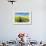 Mšnchberg, Bavaria, Germany, Rape Field in the Spring-Bernd Wittelsbach-Framed Photographic Print displayed on a wall