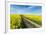 Mšnchberg, Bavaria, Germany, Rape Field in the Spring-Bernd Wittelsbach-Framed Photographic Print