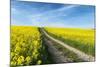 Mšnchberg, Bavaria, Germany, Rape Field in the Spring-Bernd Wittelsbach-Mounted Photographic Print