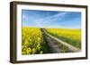 Mšnchberg, Bavaria, Germany, Rape Field in the Spring-Bernd Wittelsbach-Framed Photographic Print