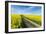 Mšnchberg, Bavaria, Germany, Rape Field in the Spring-Bernd Wittelsbach-Framed Photographic Print