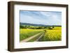 Mšnchberg, Bavaria, Germany, Scenery with Rape Fields in Lower Franconia-Bernd Wittelsbach-Framed Photographic Print