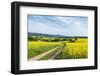 Mšnchberg, Bavaria, Germany, Scenery with Rape Fields in Lower Franconia-Bernd Wittelsbach-Framed Photographic Print