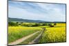 Mšnchberg, Bavaria, Germany, Scenery with Rape Fields in Lower Franconia-Bernd Wittelsbach-Mounted Photographic Print