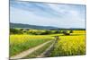 Mšnchberg, Bavaria, Germany, Scenery with Rape Fields in Lower Franconia-Bernd Wittelsbach-Mounted Photographic Print