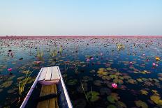 Sea of Red Lotus , Marsh Red Lotus , Small Boat in the Lotus , Caravel , Small Boat in the Sea of R-MSPT-Framed Photographic Print