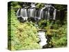 Mt. Adams and Twin Falls, Gifort Pinchot National Forest, Washington State, USA-Stuart Westmorland-Stretched Canvas