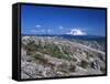 Mt Adams from Windy Ridge, Mt St Helens Volcanic National Monument, Washington, USA-Kent Foster-Framed Stretched Canvas