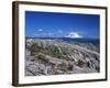 Mt Adams from Windy Ridge, Mt St Helens Volcanic National Monument, Washington, USA-Kent Foster-Framed Photographic Print