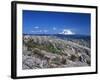 Mt Adams from Windy Ridge, Mt St Helens Volcanic National Monument, Washington, USA-Kent Foster-Framed Photographic Print