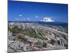 Mt Adams from Windy Ridge, Mt St Helens Volcanic National Monument, Washington, USA-Kent Foster-Mounted Photographic Print