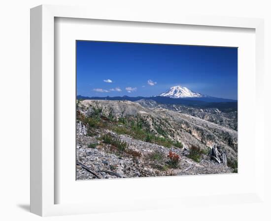 Mt Adams from Windy Ridge, Mt St Helens Volcanic National Monument, Washington, USA-Kent Foster-Framed Photographic Print