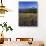 Mt. Adams in distance, Meadow, Goat Rocks Wilderness, Washington, USA-Charles Gurche-Photographic Print displayed on a wall