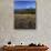 Mt. Adams in distance, Meadow, Goat Rocks Wilderness, Washington, USA-Charles Gurche-Photographic Print displayed on a wall