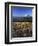 Mt. Adams in distance, Meadow, Goat Rocks Wilderness, Washington, USA-Charles Gurche-Framed Premium Photographic Print