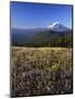 Mt. Adams in distance, Meadow, Goat Rocks Wilderness, Washington, USA-Charles Gurche-Mounted Premium Photographic Print