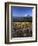 Mt. Adams in distance, Meadow, Goat Rocks Wilderness, Washington, USA-Charles Gurche-Framed Photographic Print