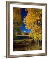 Mt. Adams VI-Ike Leahy-Framed Photographic Print