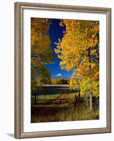 Mt. Adams VI-Ike Leahy-Framed Photographic Print