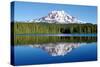 Mt. Adams-Douglas Taylor-Stretched Canvas