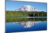 Mt. Adams-Douglas Taylor-Mounted Photographic Print