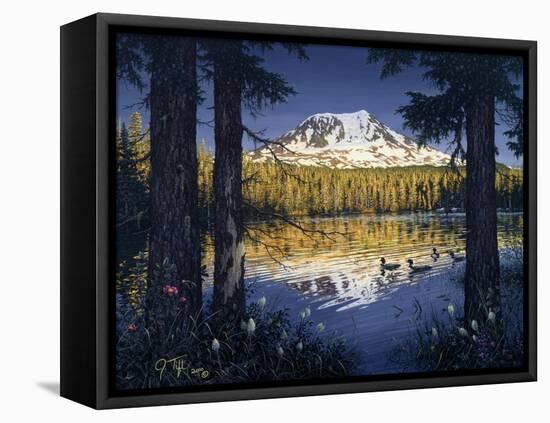 Mt Adams-Jeff Tift-Framed Stretched Canvas