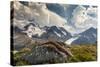 Mt. Athabasca, and Mt. Andromeda and Columbia Icefield, Jasper NP-Howie Garber-Stretched Canvas