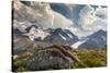 Mt. Athabasca, and Mt. Andromeda and Columbia Icefield, Jasper NP-Howie Garber-Stretched Canvas