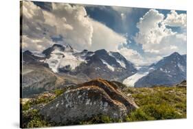 Mt. Athabasca, and Mt. Andromeda and Columbia Icefield, Jasper NP-Howie Garber-Stretched Canvas