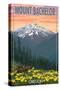 Mt. Bachelor, Oregon - Pine Martin and Flowers-Lantern Press-Stretched Canvas