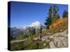 Mt. Baker from Kulshan Ridge at Artist's Point, Heather Meadows Recreation Area, Washington, Usa-Jamie & Judy Wild-Stretched Canvas