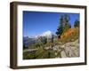 Mt. Baker from Kulshan Ridge at Artist's Point, Heather Meadows Recreation Area, Washington, Usa-Jamie & Judy Wild-Framed Photographic Print