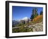 Mt. Baker from Kulshan Ridge at Artist's Point, Heather Meadows Recreation Area, Washington, Usa-Jamie & Judy Wild-Framed Photographic Print